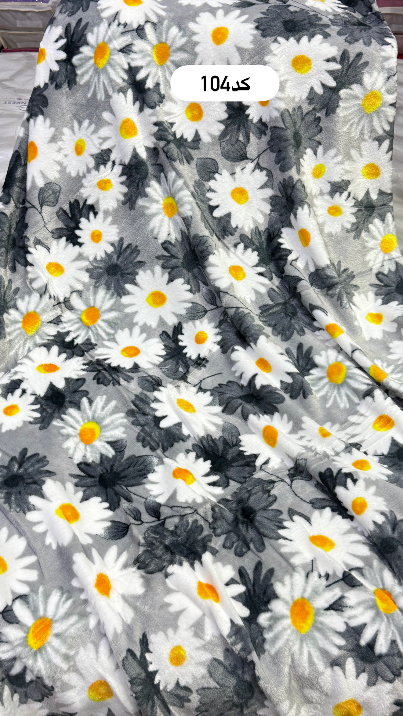 پتو